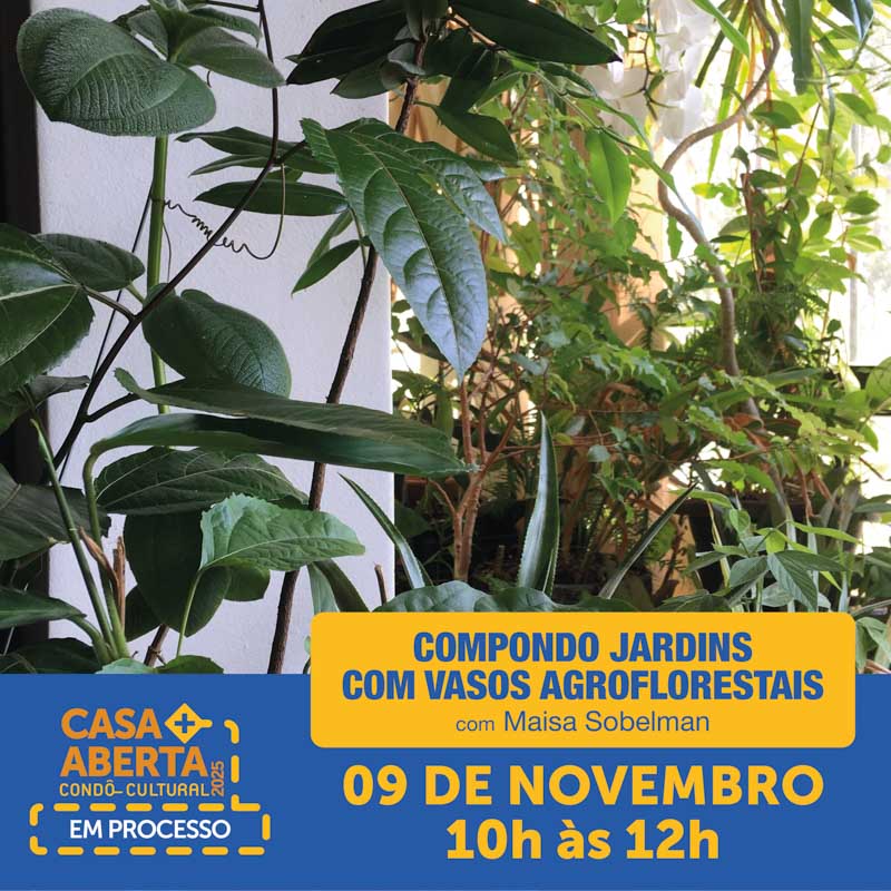 compondo jardins com vasos agroflorestais casa aberta em processo
